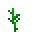 setanum_plants