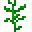 setanum_seeds
