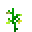 setanum_seeds