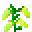 setanum_seeds